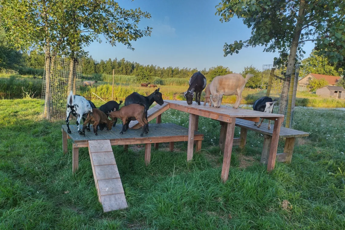Afbeelding voor sidebar blok